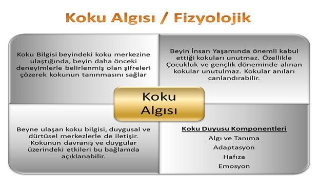 Blog Single