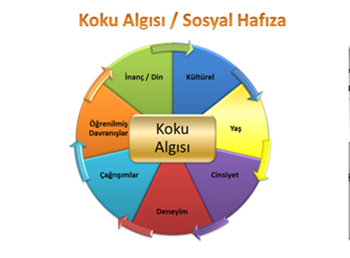 Blog Single
